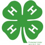 Volunteering in the Panhandle is a publication for 4-H volunteers and is provided by 4-H Extension Agents in Northwest Florida.