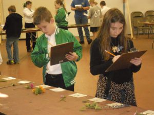 Youth competing at the North Florida Fair Horticulture Judging Contest.  Photo credit: UF IFAS Leon County 4-H