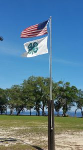 4-H Flag raised