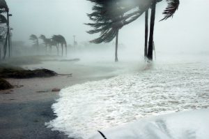 Rough ocean waves during a hurricane.