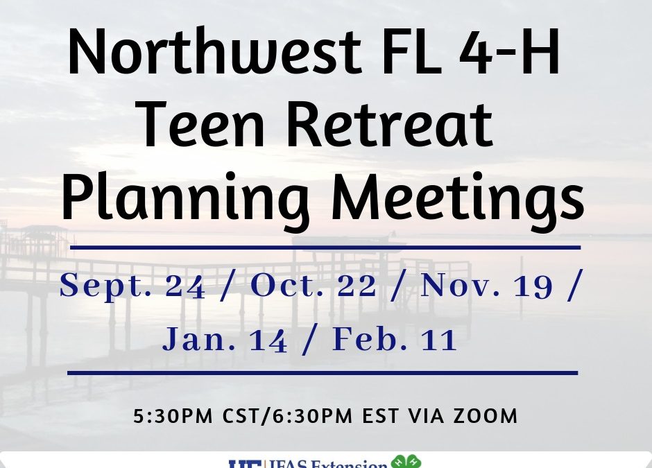 Join the 2020 NW 4-H District Teen Retreat Planning Committee!