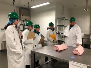 Youth review meat for meat judging contest.