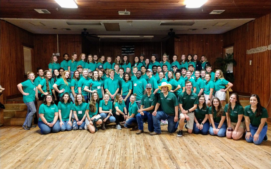 What Exactly is FL 4-H State Executive Board?