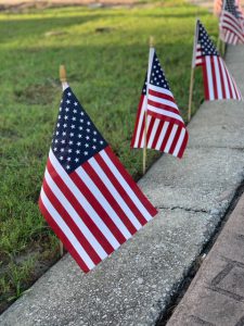 American Flags along a curb