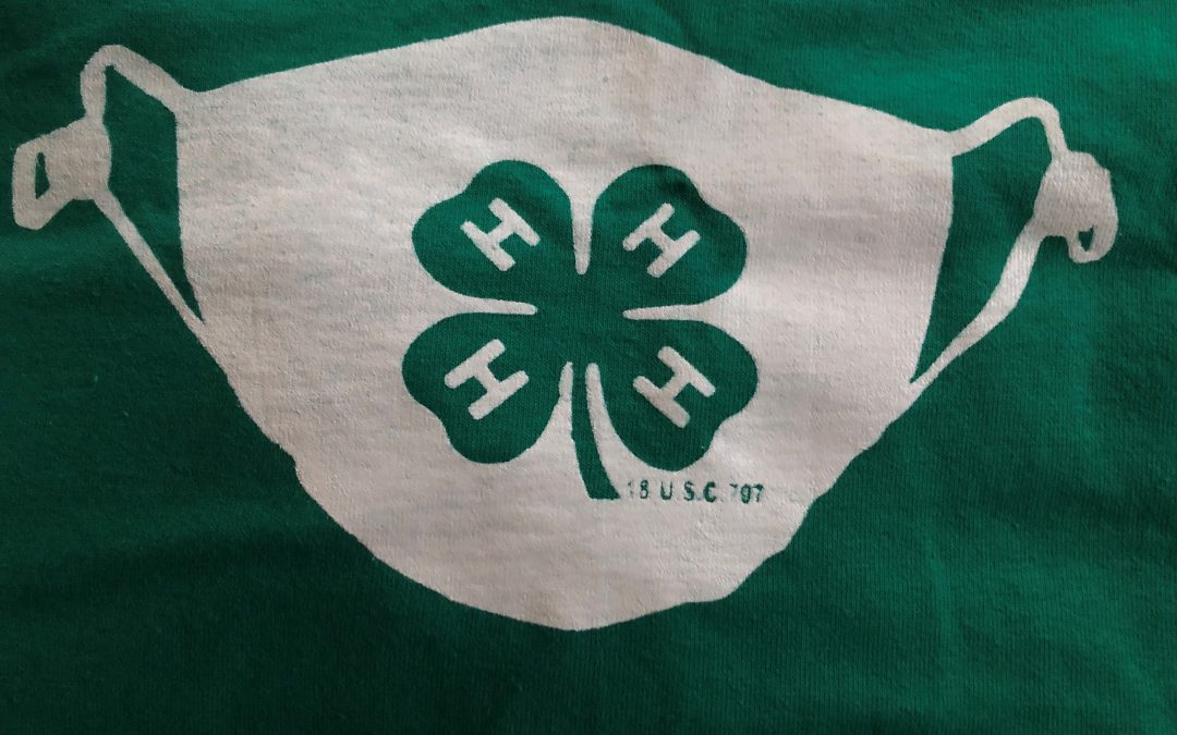 Unmasking the New 4-H Year