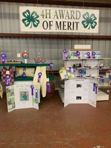 display of 4-H project work