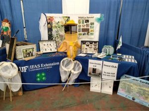 Leon County 4-H Insect Club Booth displaying pollinator information