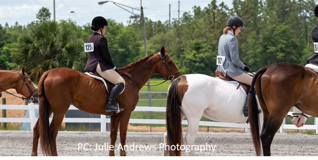 2022 Area North Horse Show