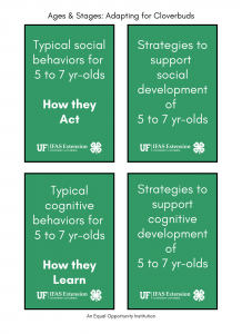 picture of flashcards for ages and stages