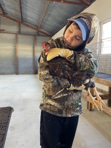 boy holding chicken