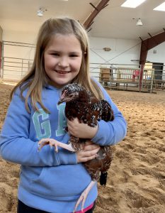 Girl holding Sussex chicken