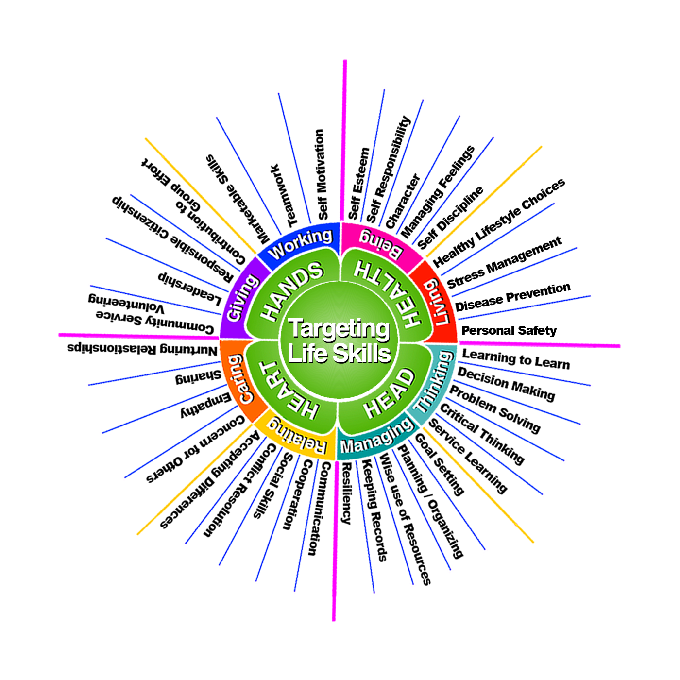 Life Skills Planning Programs With The Life Skill Wheel 4 H In The Panhandle 5809