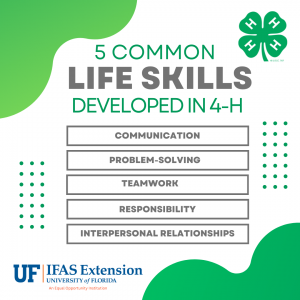 5 Common Life Skills Developed in 4-H: Communication, Problem-solving, teamwork, responsibility, interpersonal relationships