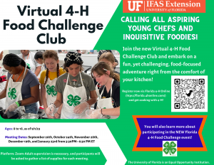 Advertisement for virtual 4-H Food Challenge Club