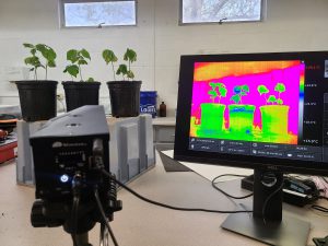 A photo of a lab setup showing four potted plants on a table. In the foreground, a thermal imaging camera is mounted on a tripod, its screen facing the camera. The real plants are in focus in the background, while the thermal image shows them in bright contrasting colors, indicating temperature variations across the plants and pots.