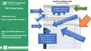 directions how to complete NFF Entry Form