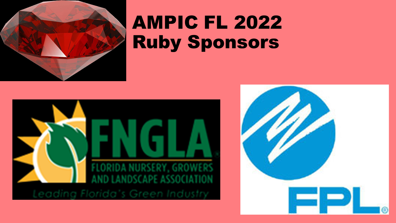 Ruby Sponsors
