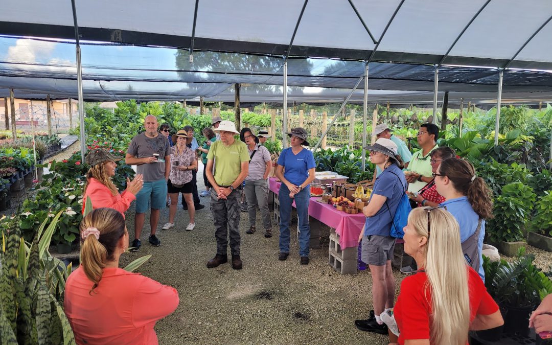 Pre-Conference Horticulture Tour Highlights – Tropical Ornamentals of South Florida