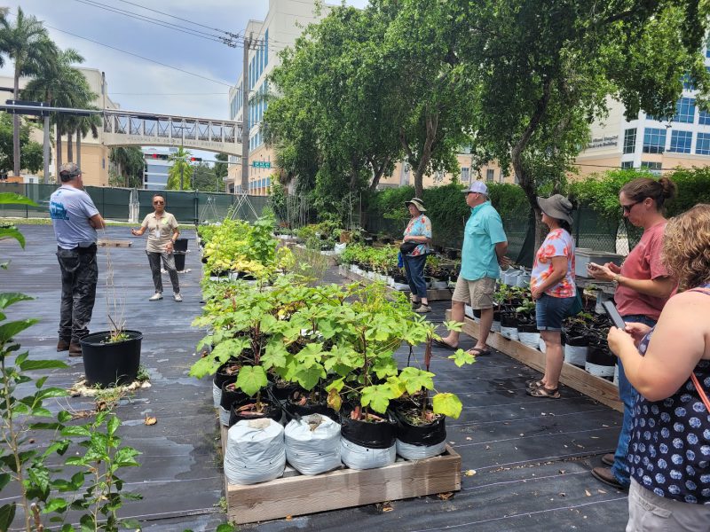 Grow to HEal Urban Community garden