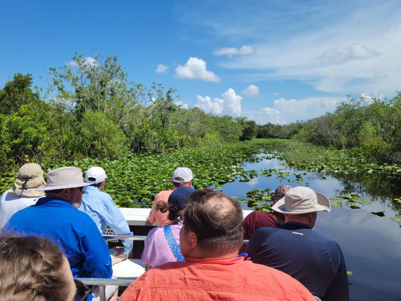 Airboat ride through the Everglades National Park.