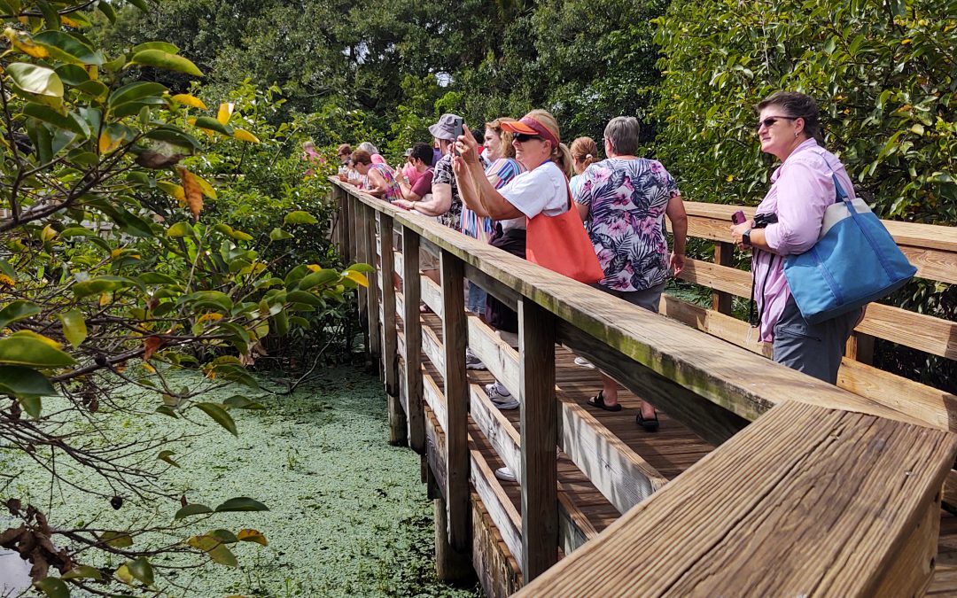 Highlights from the Monday Spouses and Life Members Wetlands Tour