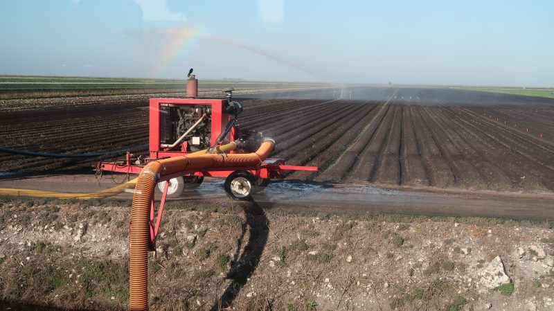 Irrigation set up for leafy green production in the EAA