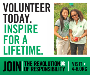 Volunteer Recruitment Web Banner