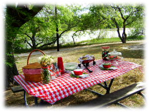 picnic picture