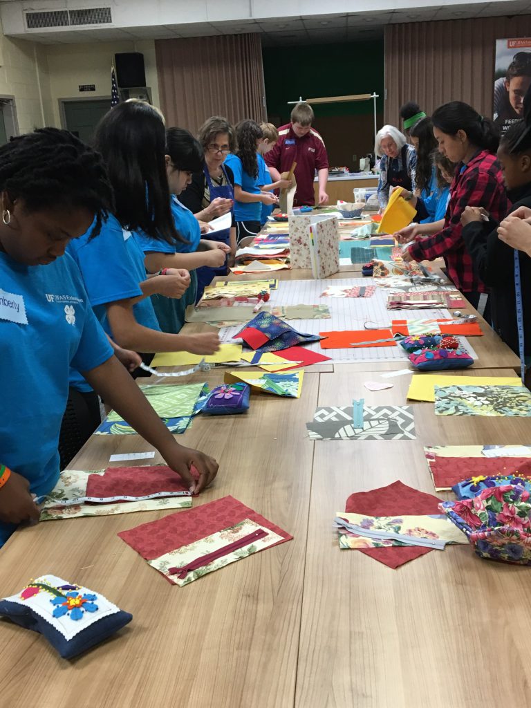 4H Sewing Camp Living Well in the Panhandle