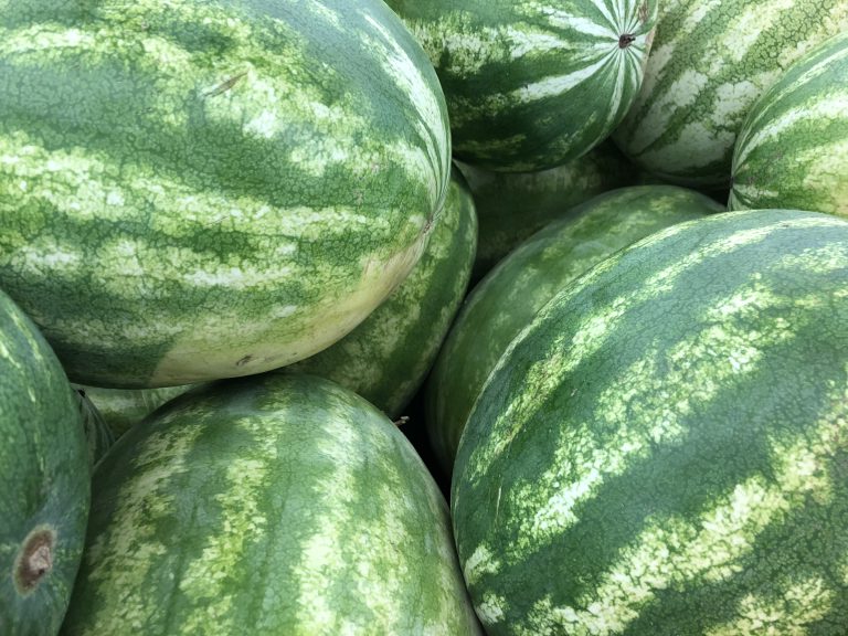 In Season Watermelon Living Well in the Panhandle