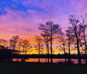 Blue and orange sunset over a lake surrounded by trees in the foreground and background.