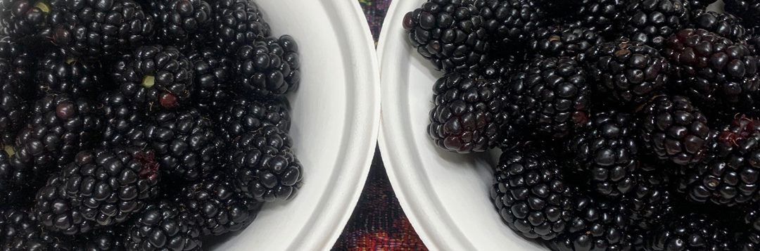 Garden to Table with Beth and Dorothy – Growing and Saving Blackberries