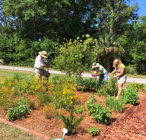 Gardening with Friends