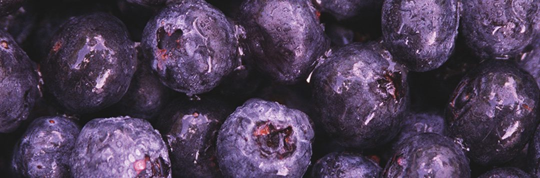 Celebrate the Blues – July is National Blueberry Month