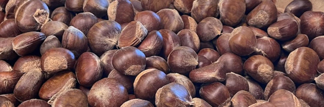 It’s Chestnut Season!