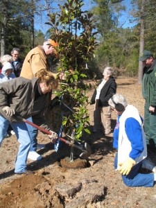 Master Gardeners demonstrate correct tree planting techniques.