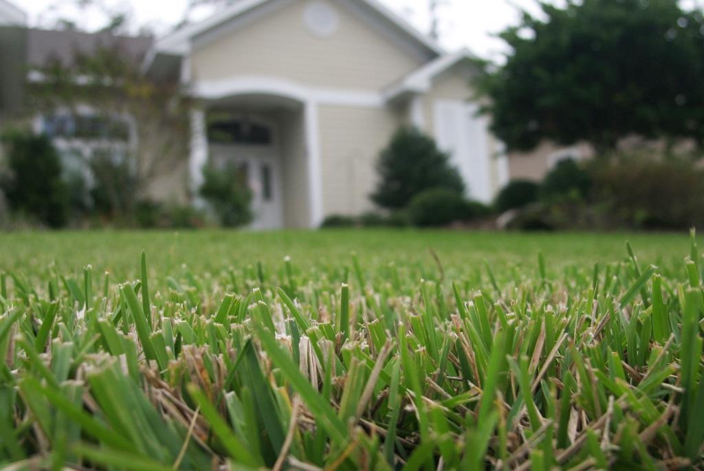 Weak Lawns Respond to Warmer Soil & Correct Care