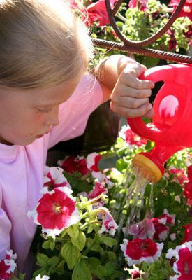 Video: Garden Success with Good Watering Practices