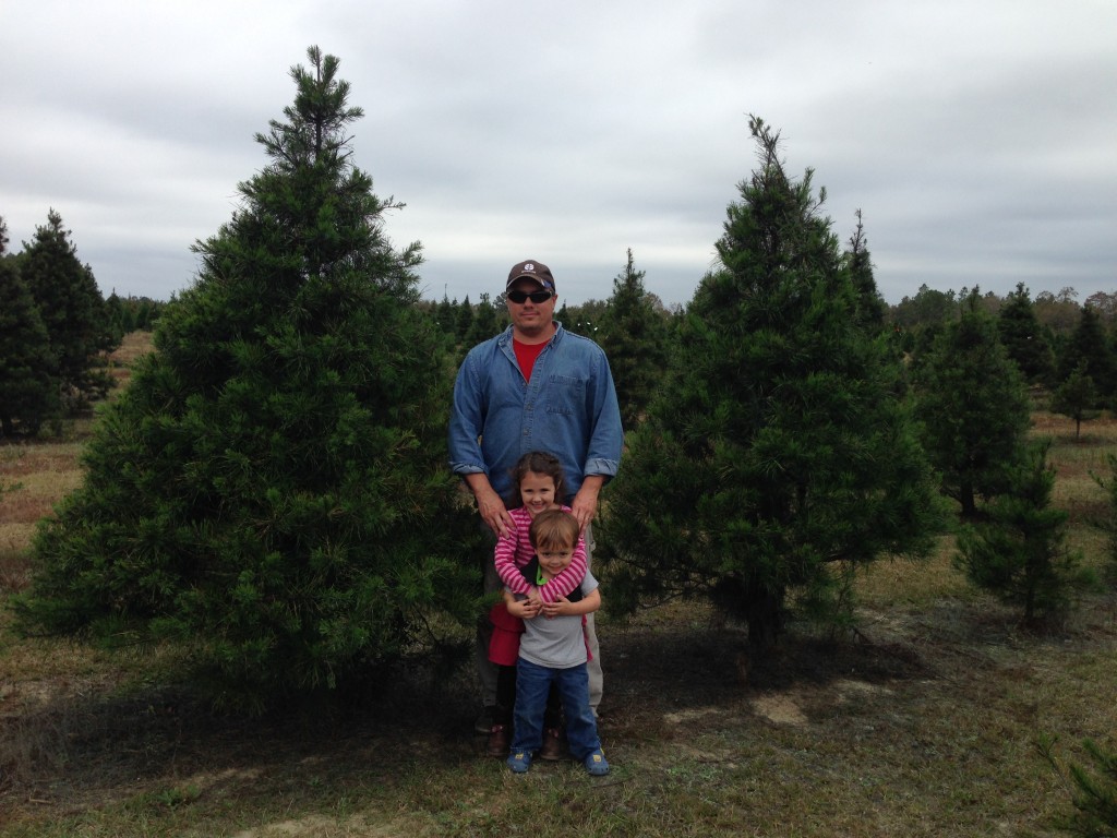 Harvest Your Own Christmas Tree! Gardening in the Panhandle