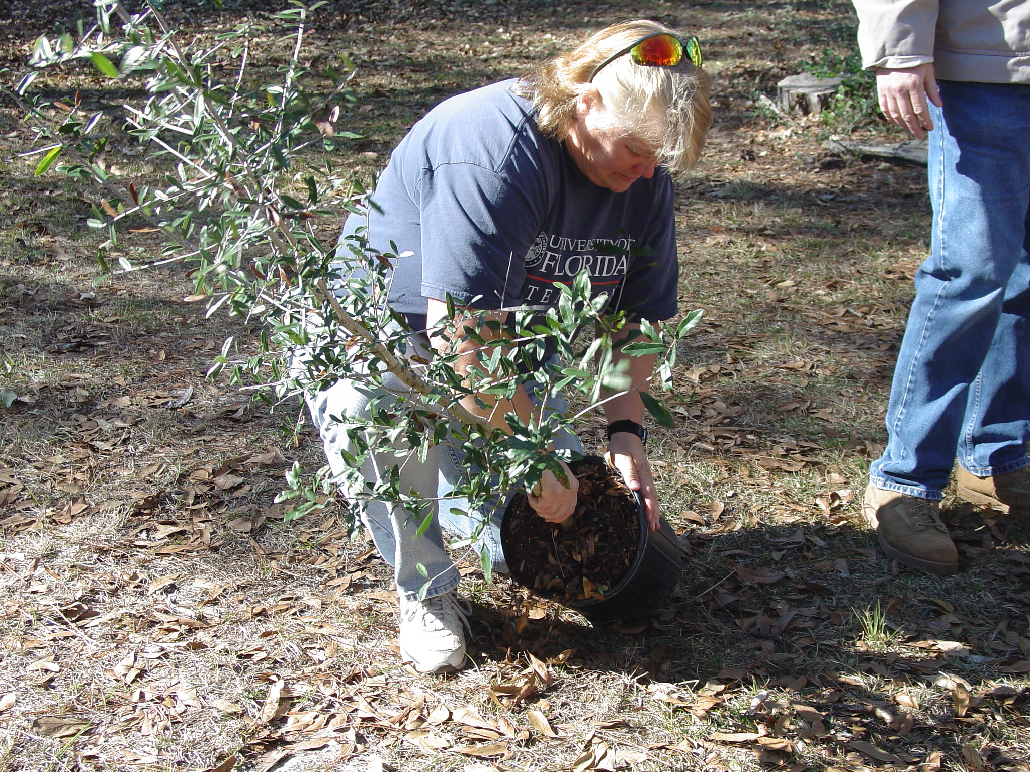 Florida Arbor Day Gardening in the Panhandle