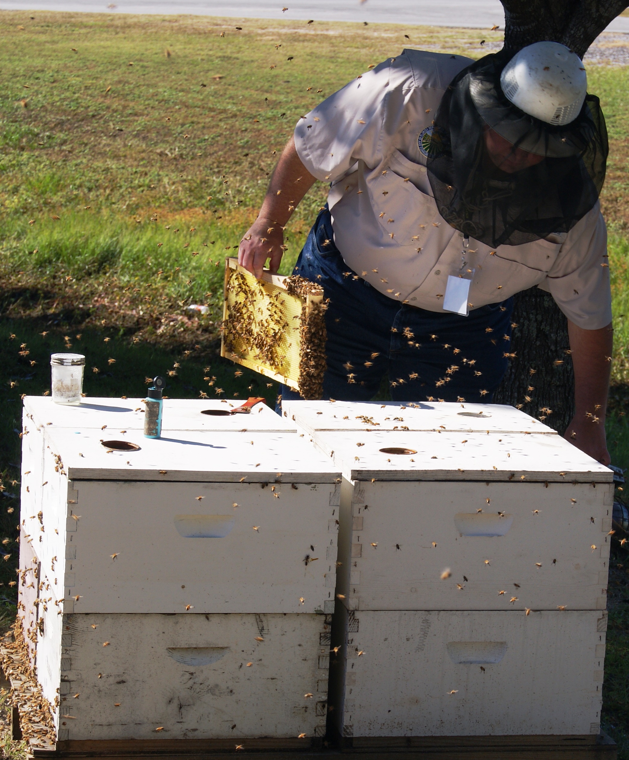 2014 UF/IFAS Basic Beekeeping in the Panhandle Short Course