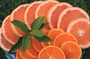 sliced citrus fruit