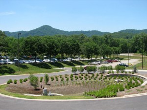 The North Carolina Arboretum used a planted bioretention area to manage stormwater in their parking lot.  Photo courtesy Carrie Stevenson