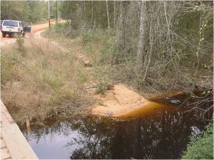 Unmaintained dirt roads along creeks are significant sources of sediment, which can harm the bottom-dwelling insects that form the base of the food web. Photo credit: Carrie Stevenson