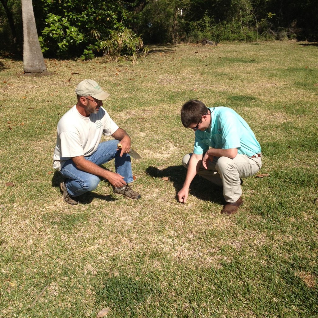 Contact your local UF/IFAS Extension Agent for lawn recommendations, Photo Credit: Blake Thaxton