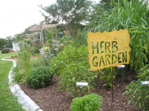 herb garden escambia.ifas.ufl
