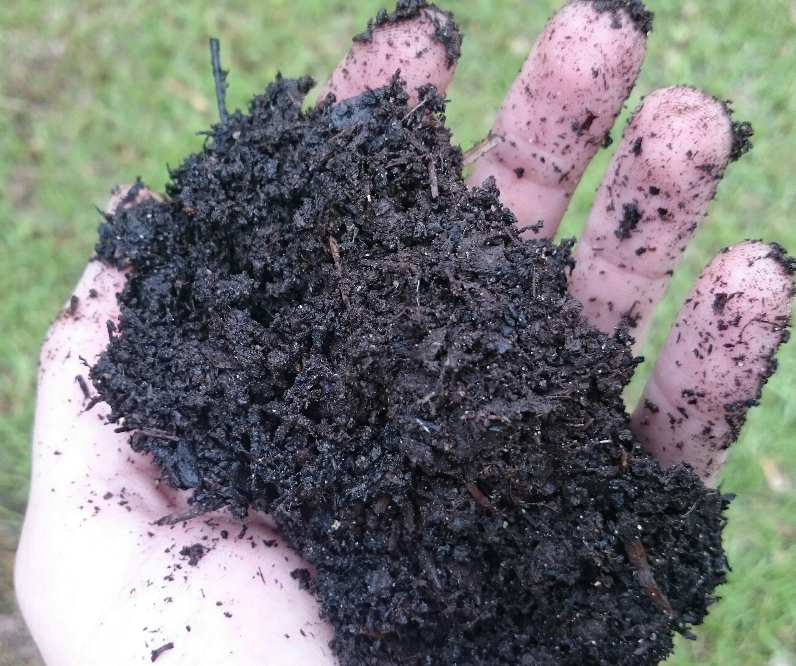 The “Dirt” on Soil