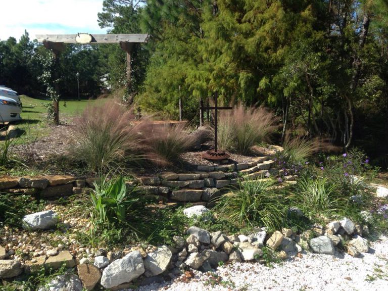 Rain Gardens – A Solution for Runoff | Gardening in the Panhandle