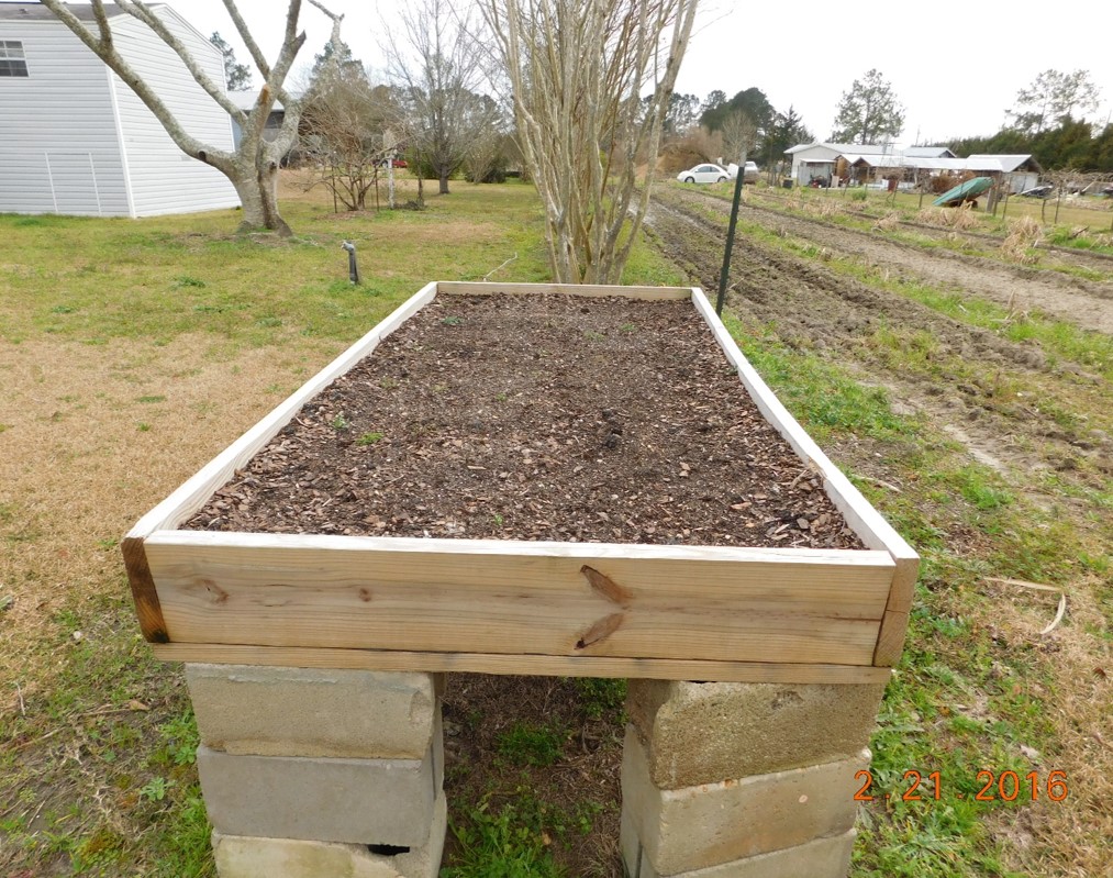 Readying Your Raised Beds for Northwest Florida’s Best Gardening Season