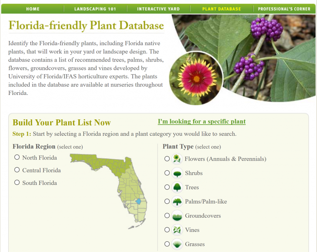 What Trees Are Native To Florida at Betty Layman blog